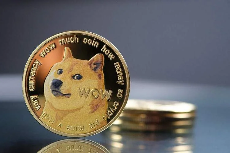 آیا سرمایه گذاری در دوج کوین Dogecoin آینده خوبی دارد؟ سرمایه گذاری روی دوج کوین