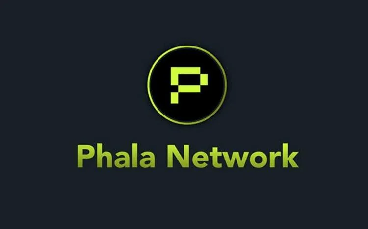پرایوسی کوین چیست و عملکرد آن چگونه است؟ پولکادات در شبکه Phala