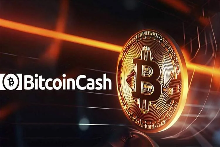بیتکوین کش (Bitcoin Cash) چیست؟ چگونه آن را استخراج میکنید؟ نقش محاسبات در شبکه بیتکوین